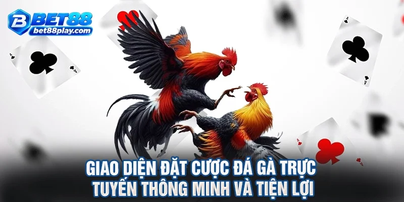 Giao diện đặt cược đá gà trực tuyến thông minh và tiện lợi