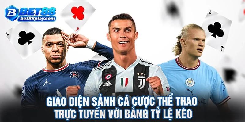 Giao diện sảnh cá cược thể thao trực tuyến với bảng tỷ lệ kèo.