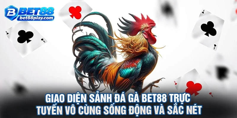 Giao diện sảnh đá gà BET88 trực tuyến vô cùng sống động và sắc nét