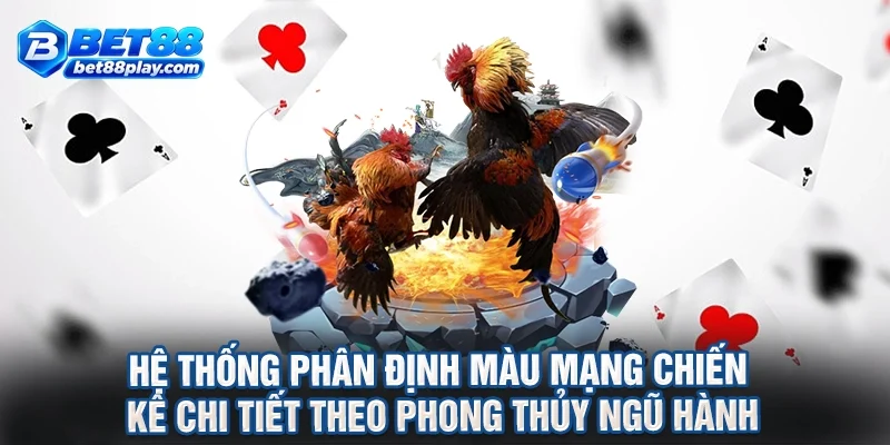 Hệ thống phân định màu mạng chiến kê chi tiết theo phong thủy ngũ hành